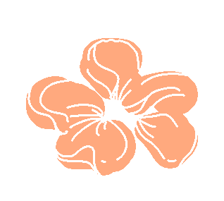 Flower Research